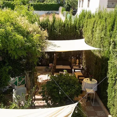 Del Mamut, Granada Padul